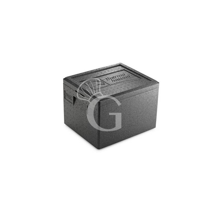Contenedor isotérmico de polipropileno de 19 Lt  para cubetas GN 1/2 L 390mm x P 330 mm x H 280 mm