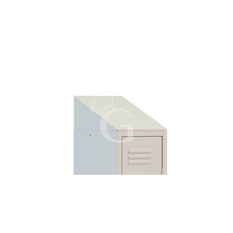 Techo para armario de vestuario color standard RAL 7035
