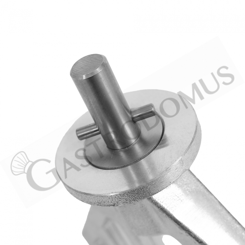 Espátula para amasadora PLN20BV