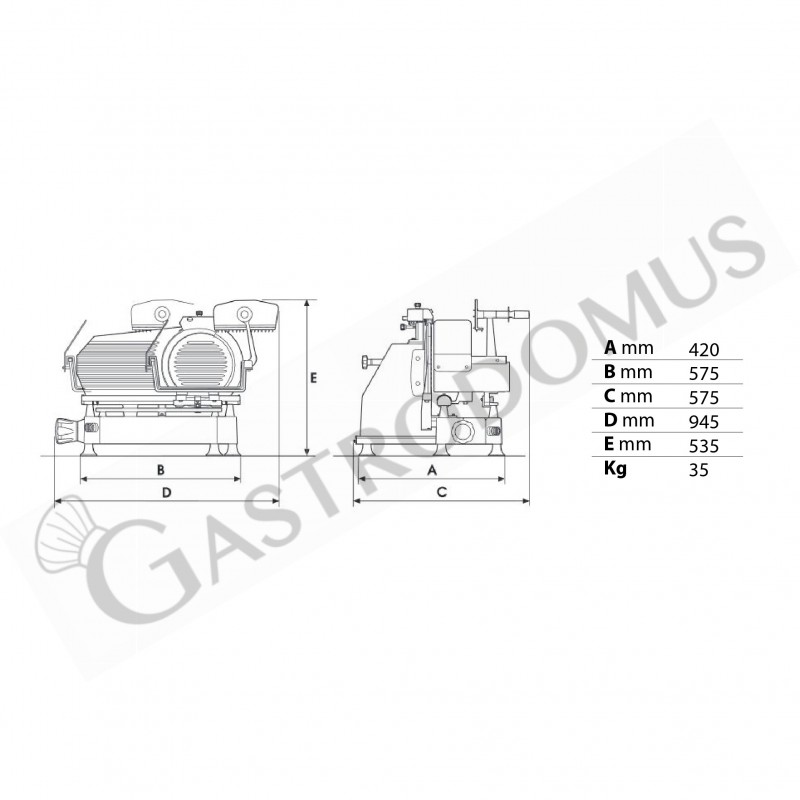 Cortadora de carne profesional vertical de aluminio, diámetro de cuchilla 300 mm, carro desmontable