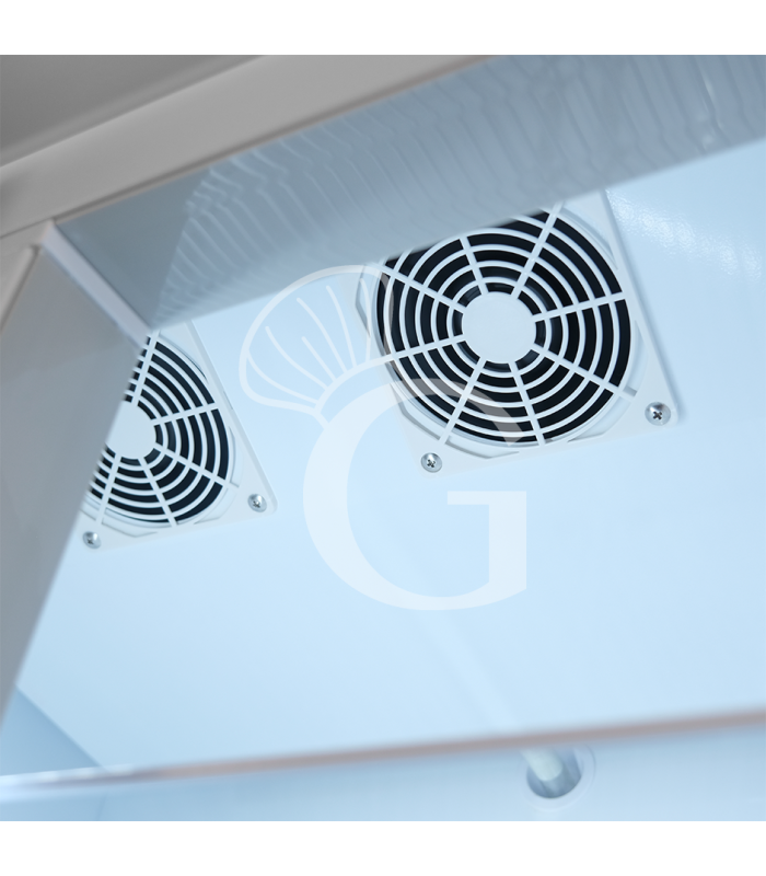 Expositor ventilado para bebidas 2 puertas batientes, 590 LT 2°C / +10°C color blanco