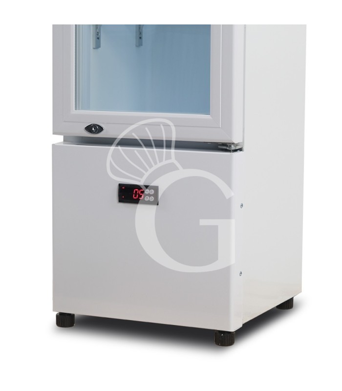 Expositor refrigerado ventilado de puerta batiente con canopy, 99 LT, +2°C/+10°C color blanco