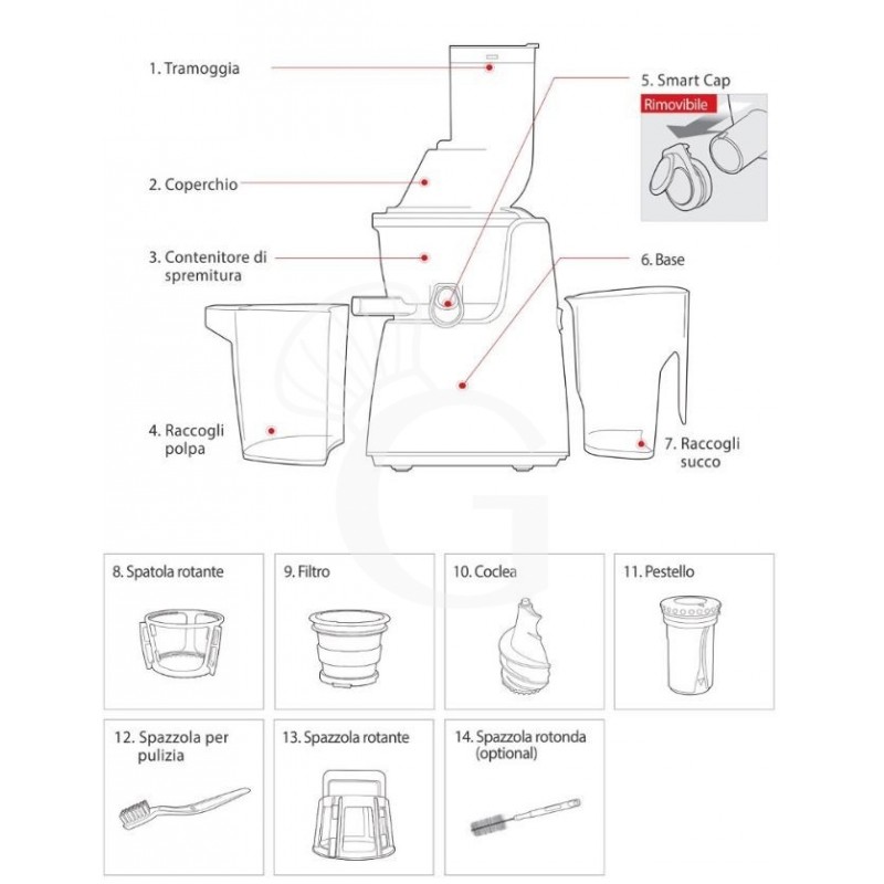 Extractor de jugo de baja velocidad compacto 0,25 kW, 45 rpm