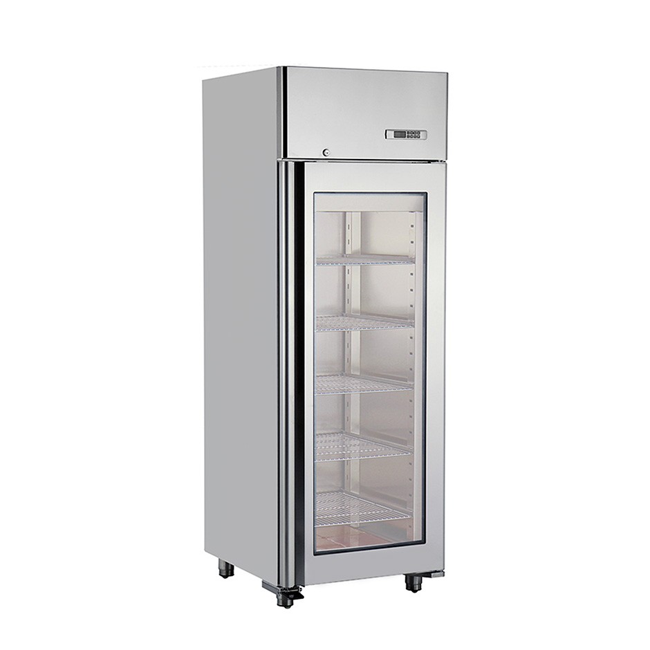 Armario refrigerado profesional para maduración de carne 0°C / +25°C con puerta de vidrio - 580 L