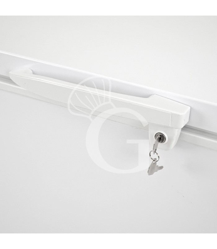 Arcón Congelador 370 LT, Temperatura -18°C, Clase de eficiencia energética F