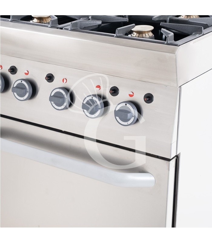 Cocina profesional de gas 4 fuegos con horno a gas profundidad 650 mm