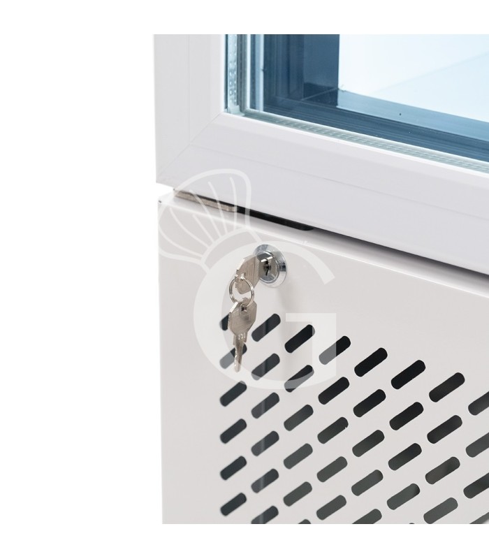 Armario congelador estático slim con puerta de cristal, 208 L, –18/–22 °C, color blanco