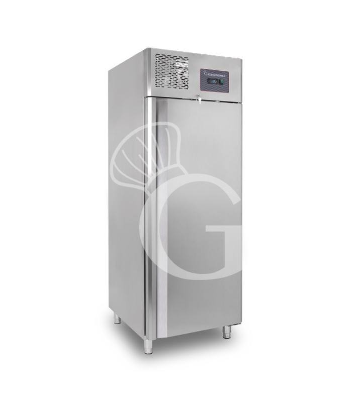 Armario congelador ventilado –18°C/–22°C – 650 L