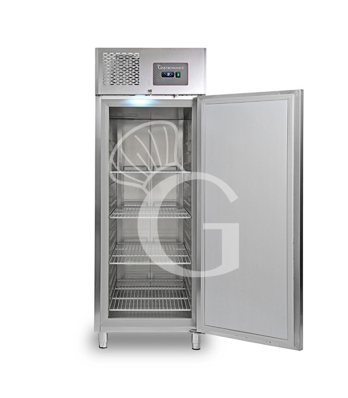 Armario congelador ventilado –18°C/–22°C – 650 L