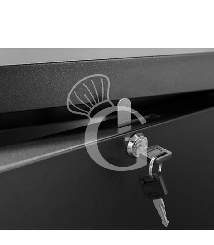 Bajo mostrador horizontal negro 2 puertas batientes ciegas 280 L / +2°C/+8°C