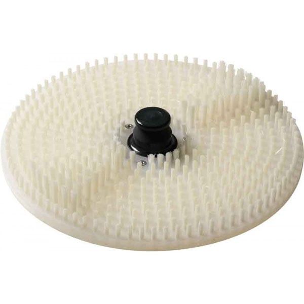 Placa con cepillos para mejillones