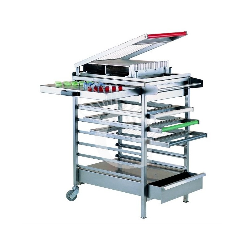 Carro con dimensiones L 700 mm x P 600 mm x A 850 mm para cortadora guitarra