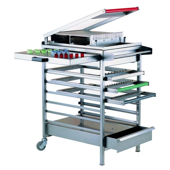 Carro con dimensiones L 700 mm x P 600 mm x A 850 mm para cortadora guitarra