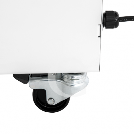 Detalle rueda Detalle rueda