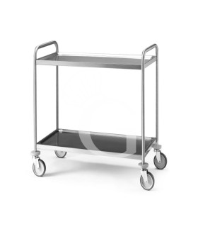 Carro de acero inoxidable AISI304 con 2 estantes, dimensiones L 1000 mm x P 500 mm x A 960 mm, capacidad de carga 120 kg