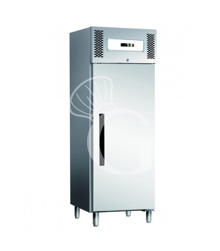 Armario refrigerado ventilado -18°C/-22°C 537 L Clase de eficiencia energética D