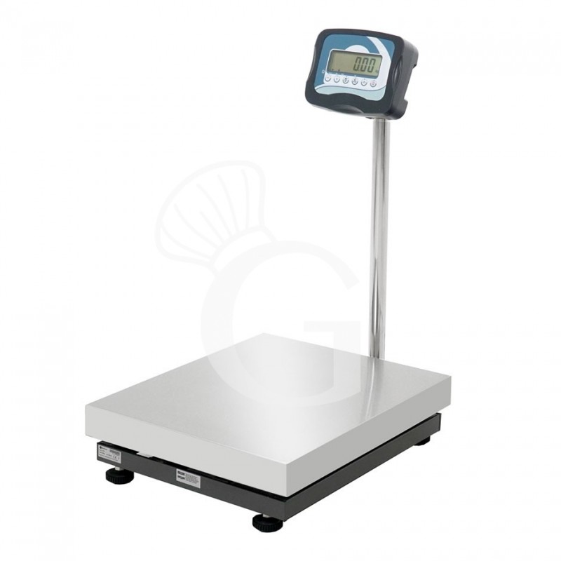 Báscula monocelular completa con capacidad de 60 kg y precisión de 10 g L 500 mm x P 400 mm x A 840 mm