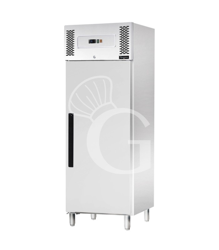 Armario refrigerado ventilado -18°C/-22°C 537 L Clase de eficiencia energética D