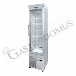 Vitrina Expositora de pastelería estática 250 LT, 1 puerta de vidrio -15°C/-25°C