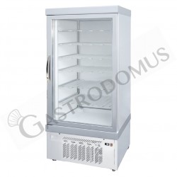 Vitrina Refrigerada expositora estática para pastelería 555 LT -15°C/-25°C, 1 Puerta de vidrio