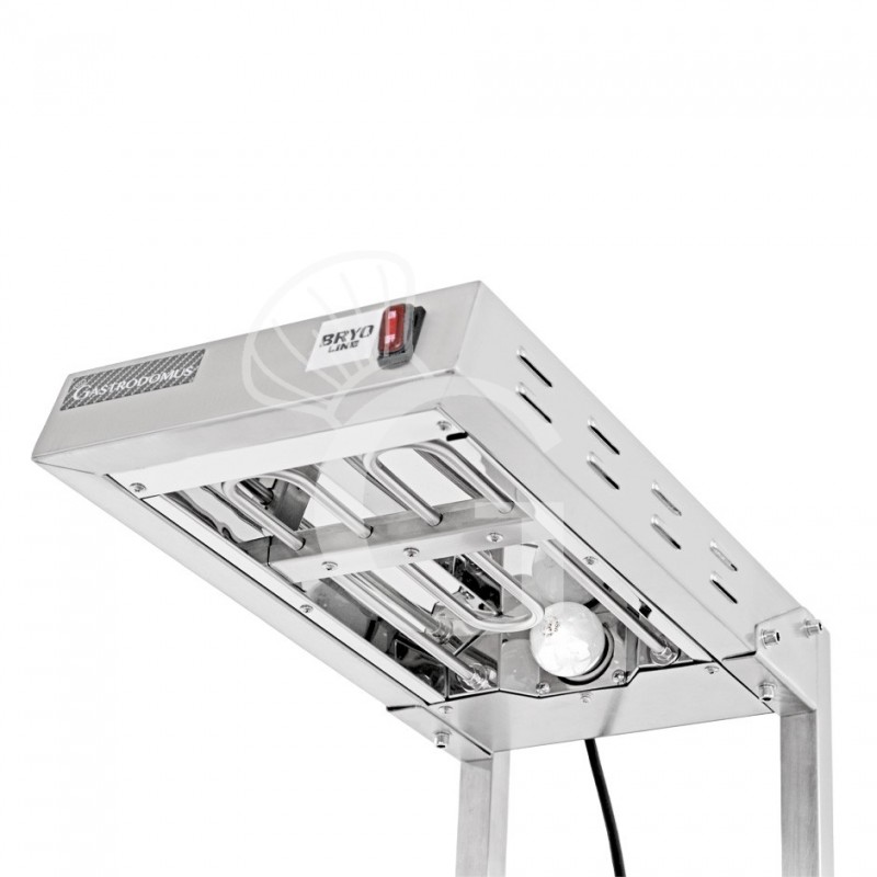 Calentador de alimentos fritos con GN 1/1 incluido - L 340 mm x P 565 mm x A 450 mm