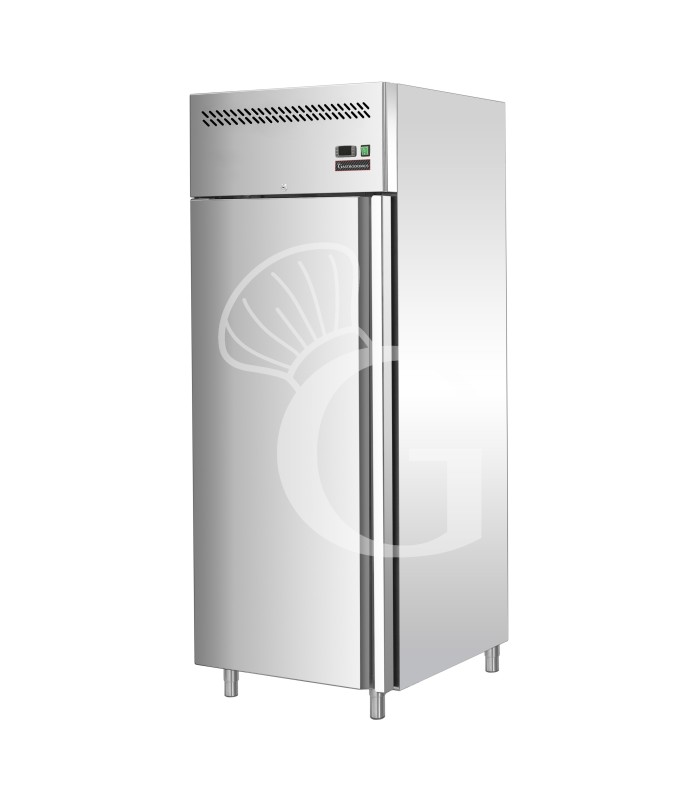 Armario refrigerado ventilado -18°C/-22°C 650 LT clase de eficiencia energética D