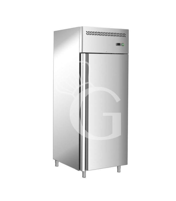 Armario refrigerado ventilado -18°C/-22°C 650 LT clase de eficiencia energética D
